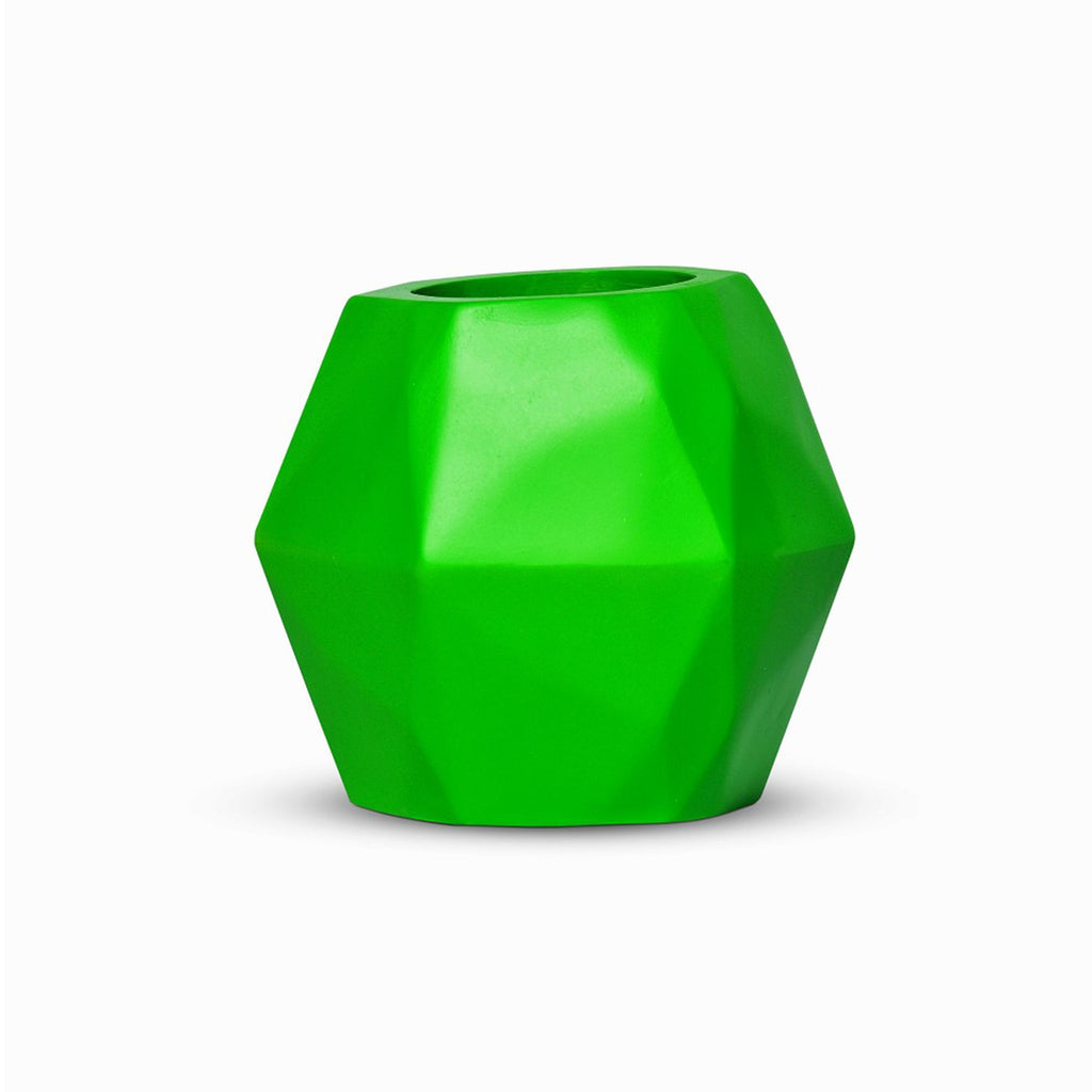 Insectimo Stick Insect Branch Jar-Habitat Pet Supplies