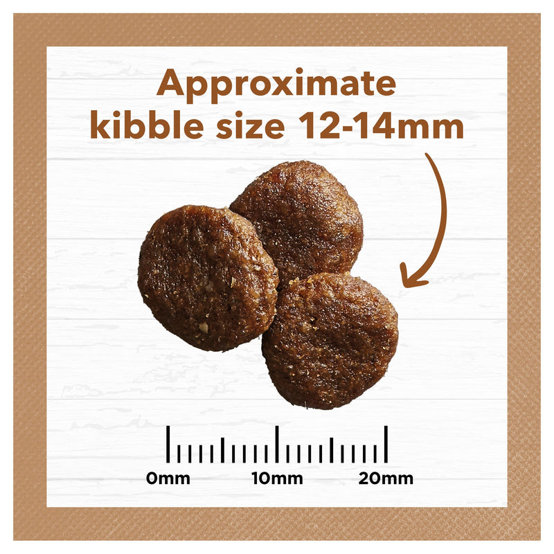 Ivory Coat Grain Free Lamb and Kangaroo Adult Dog Dry Food 2kg