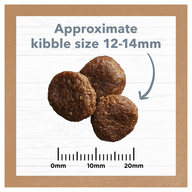 Ivory Coat Grain Free Lamb and Sardine Adult Dog Dry Food 13kg