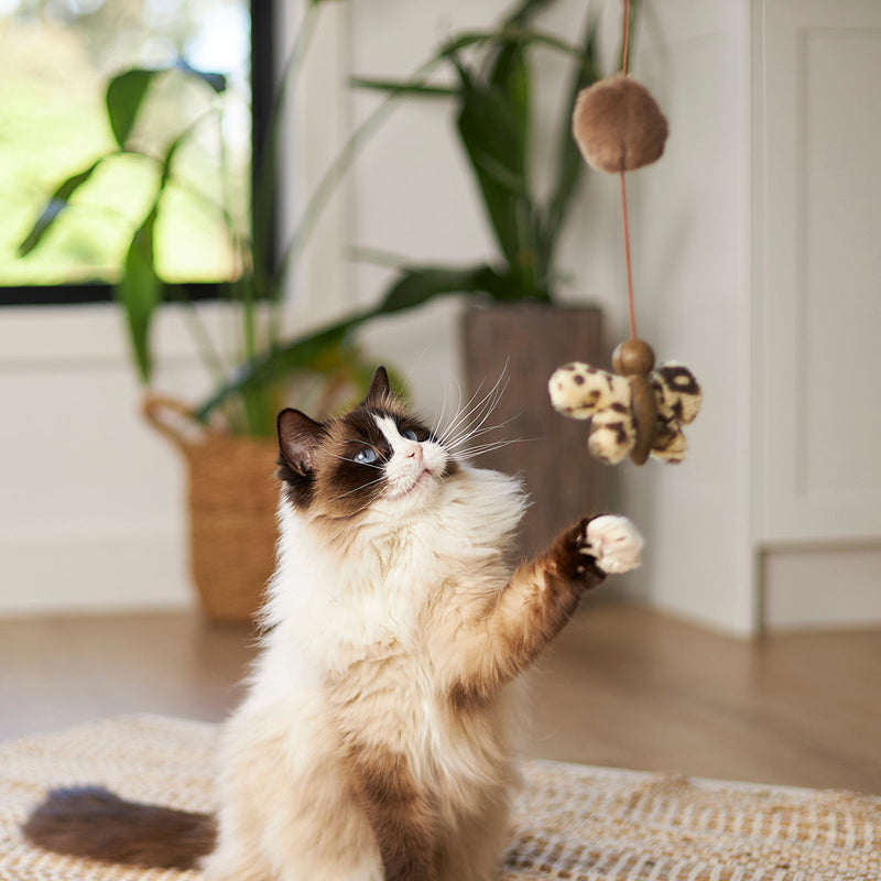 Kazoo Butterfly Wand Cat Toy-Habitat Pet Supplies