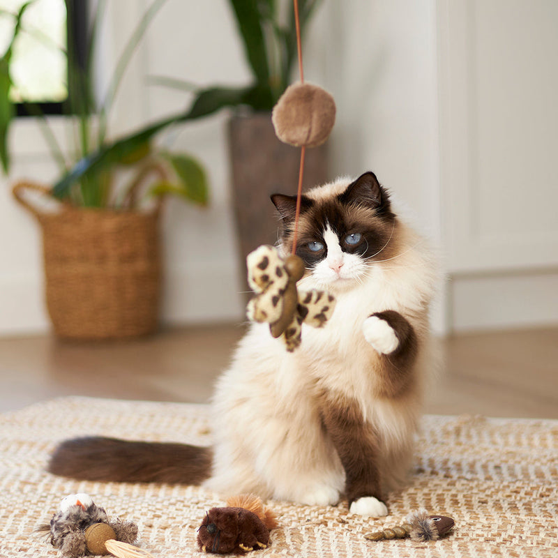 Kazoo Catnip Butterfly Wand Cat Toy ^._.^