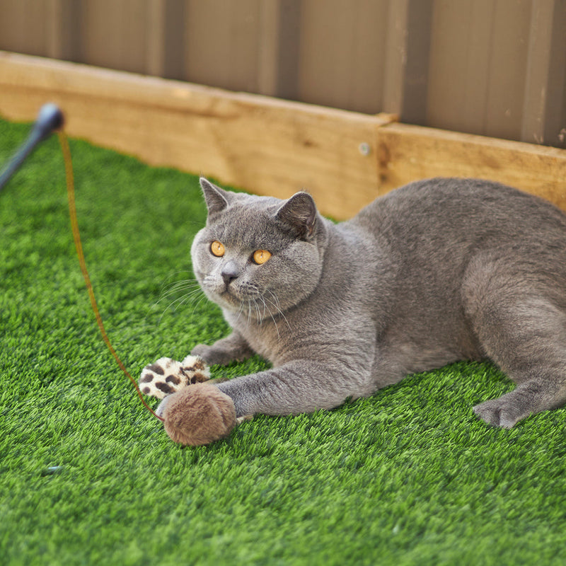 Kazoo Catnip Butterfly Wand Cat Toy ^._.^