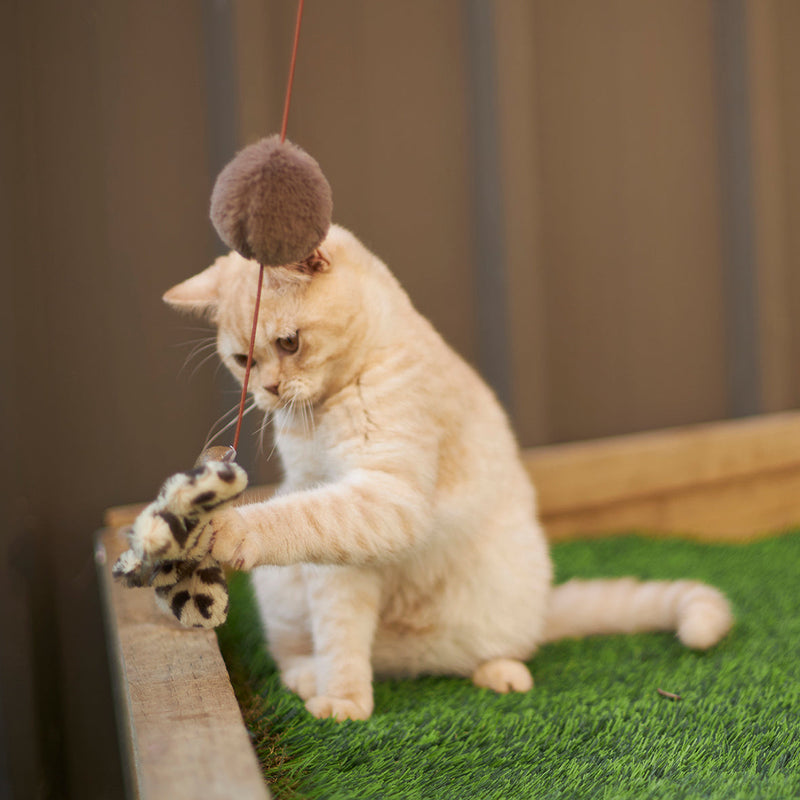 Kazoo Catnip Butterfly Wand Cat Toy ^._.^