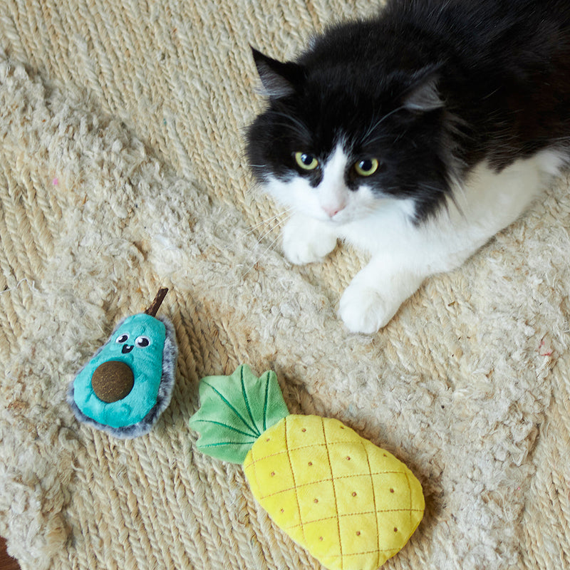 Kazoo Crinkly Pineapple Cat Toy-Habitat Pet Supplies