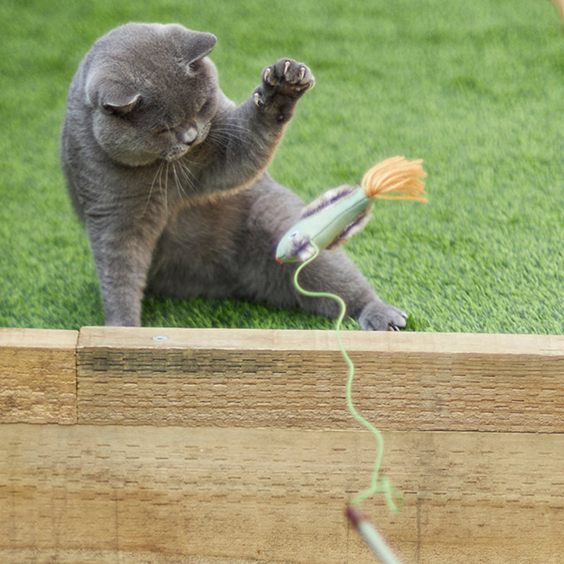 Kazoo Fantail Bird Eco-Friendly Wand Cat Toy ^._.^