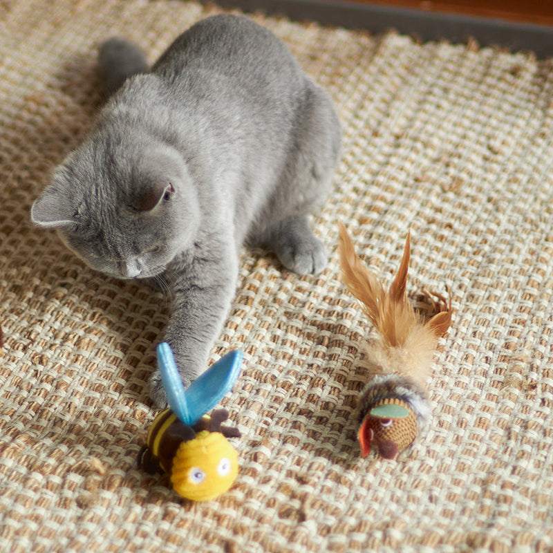 Scruffies toy cat cheap