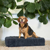 Kazoo Slumber Large Plush Grey Dog Bed***