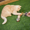 Kazoo Sneaky Mouse Cat Toy ^._.^