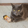 Kazoo Velcro Worm Cat Toy