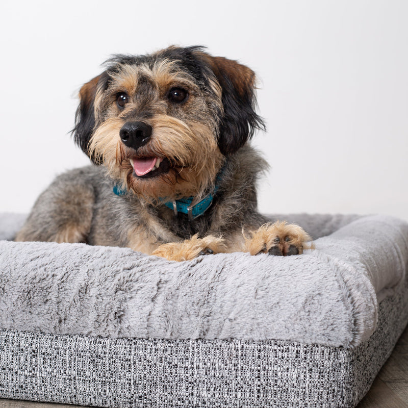 Kazoo Wombat Medium Plush Grey Dog Bed