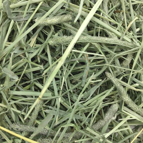 Oxbow Western Timothy Hay 425g