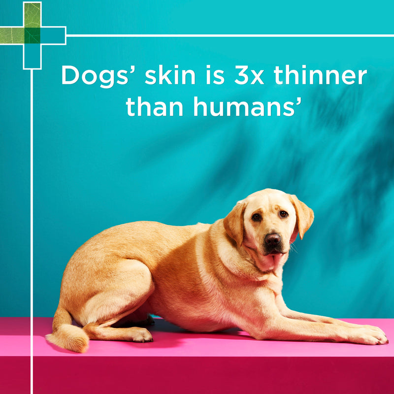 PAW by Blackmores 2-in-1 Conditioning Shampoo for Dogs 500ml