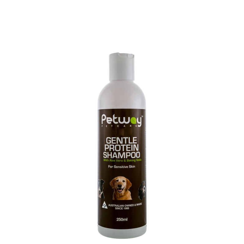 Petway Gentle Protein Shampoo 250ml ^._.^-Habitat Pet Supplies