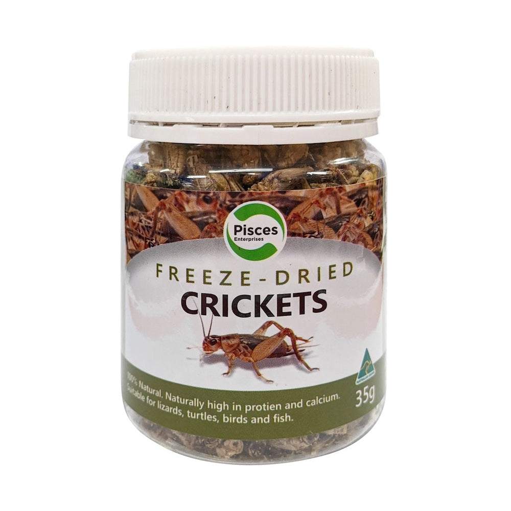 Pisces Freeze Dried Crickets for Reptiles 35g-Habitat Pet Supplies