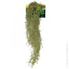 Reptile One Artificial Plant Hanging Spanish Moss Grey 70cm-Habitat Pet Supplies