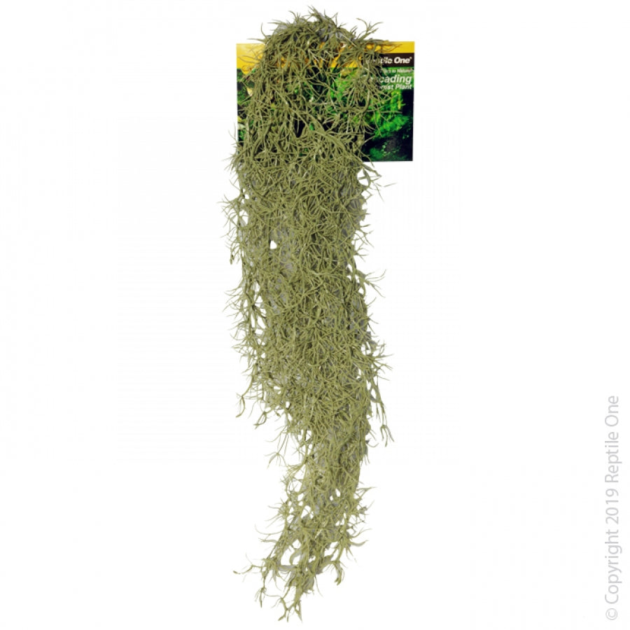 Reptile One Artificial Plant Hanging Spanish Moss Grey 70cm-Habitat Pet Supplies