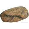 Reptile One Dyno Rock Climbing Ledge L-Habitat Pet Supplies