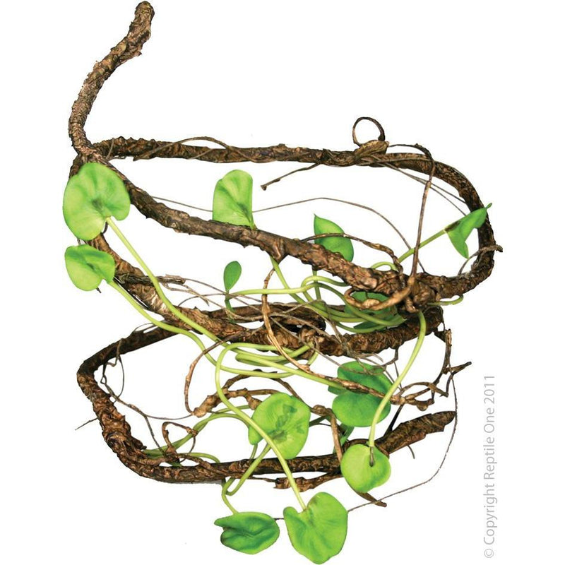 Reptile One Jungle Twist Vine Leaf-Habitat Pet Supplies