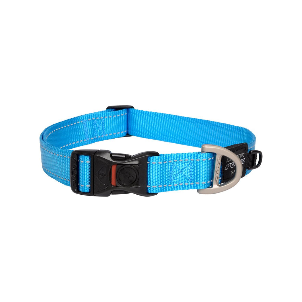 Rogz Classic Extra Large Dog Collar Turquoise-Habitat Pet Supplies