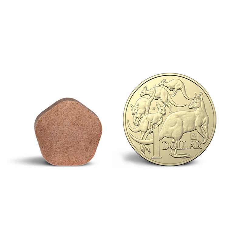 Simparica Trio Flea Tick and Worming Chews for Medium Dogs Blue 6 Pack ^._.^