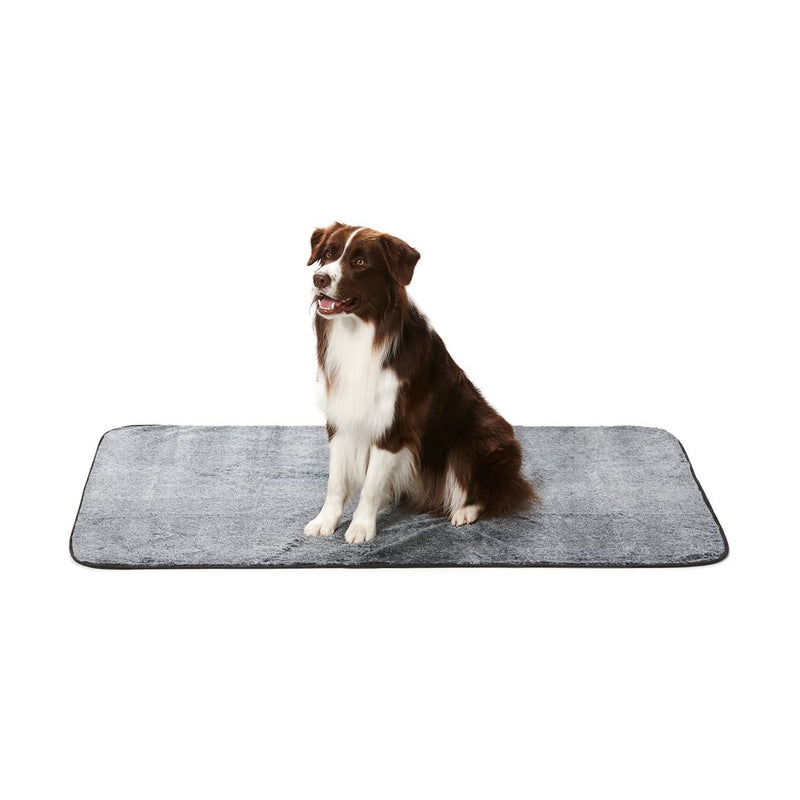 Dog drying blanket hotsell