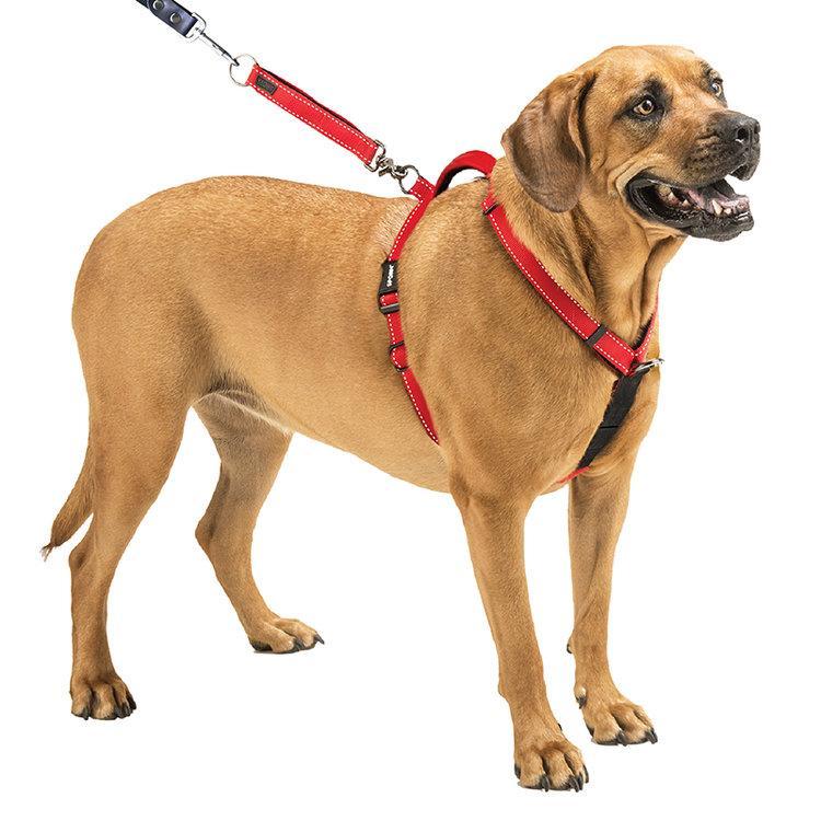 Sporn dog harnesses new arrivals