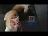 Hills Science Diet Sensitive Stomach and Skin Chicken and Rice Dry Cat Food 7.03kg ^._.^