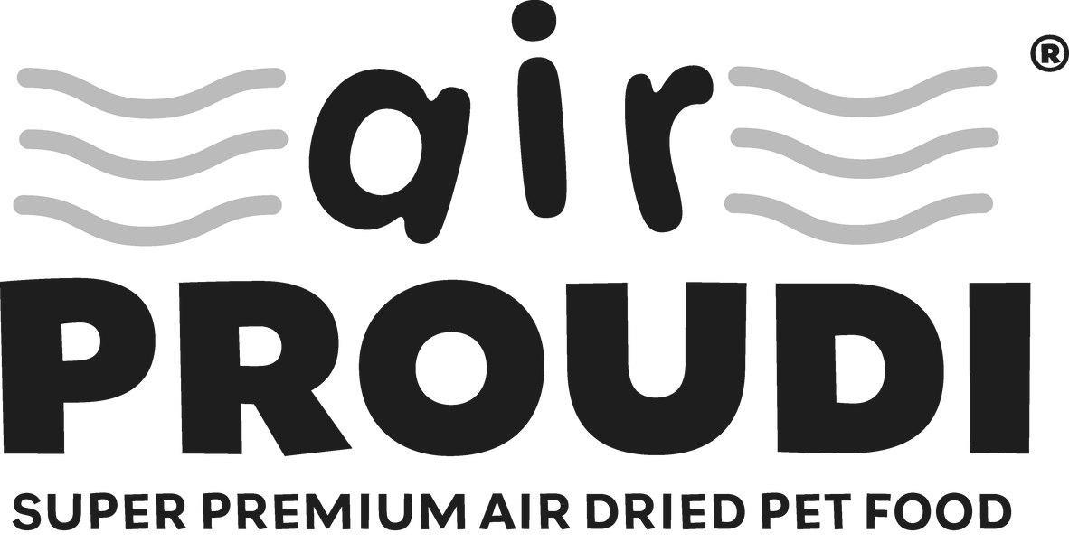 Air Proudi