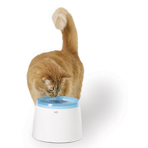 Cat Bowls & Feeders