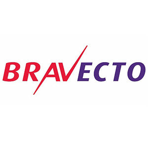 Bravecto Flea Treatment