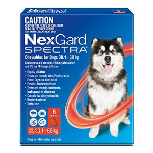 Dog Flea, Tick & Worming Treatments