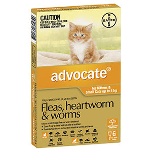 Cat Flea, Tick & Worming Treatments