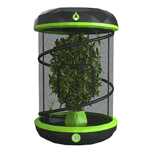 Insects – Habitat Pet Supplies