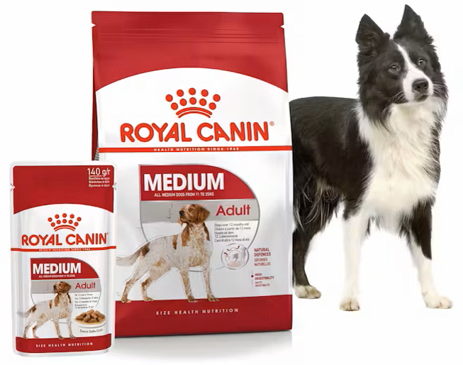 Dog Food Online