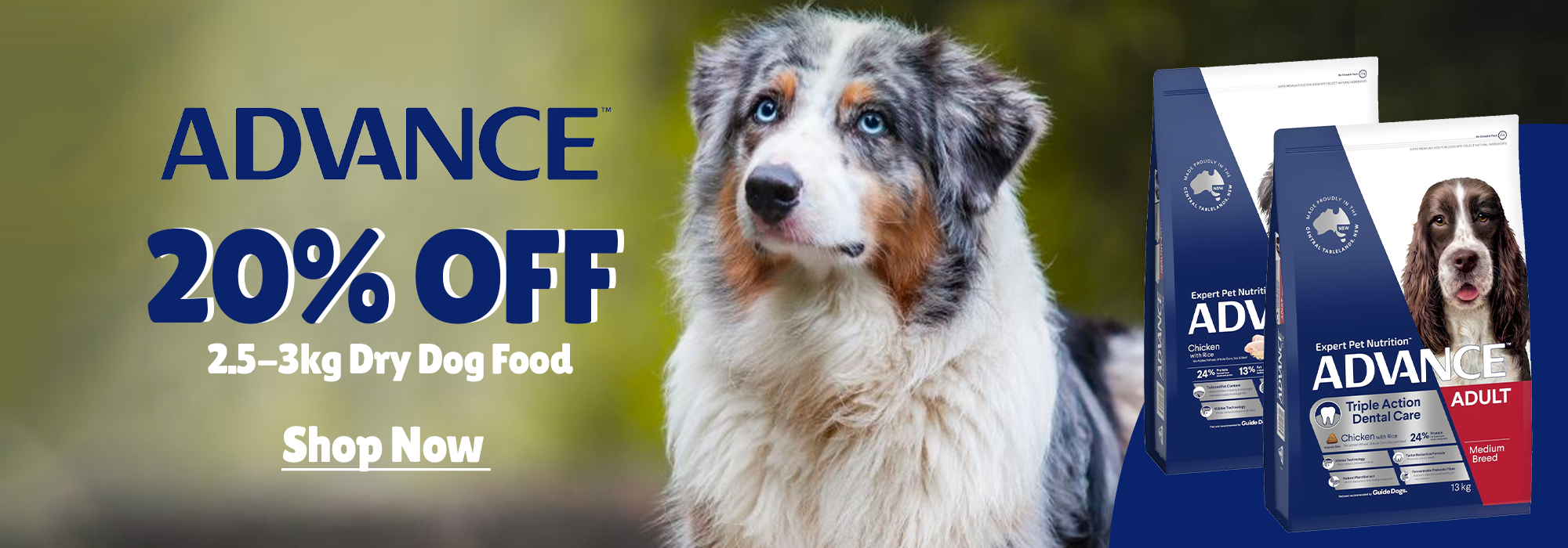 Cheapest online top pet store