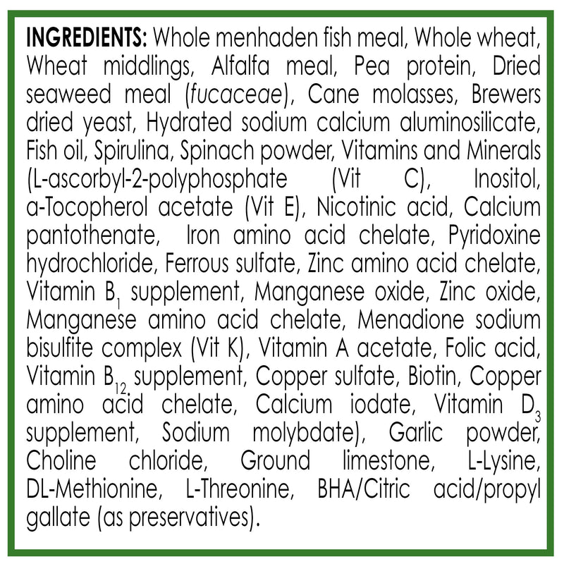API Algae Wafers 37g