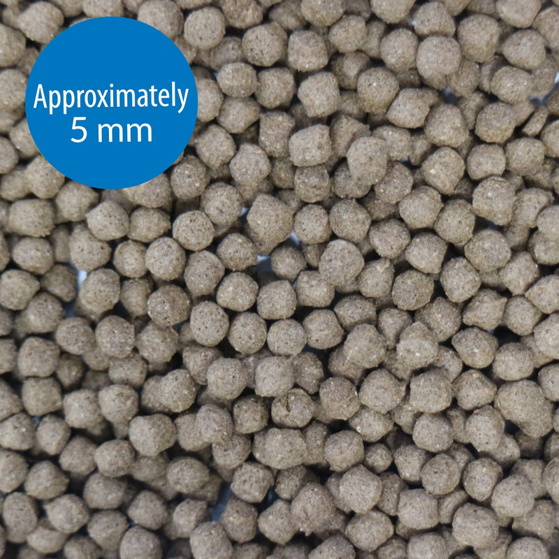 API Cichlid Pellets Large 200g