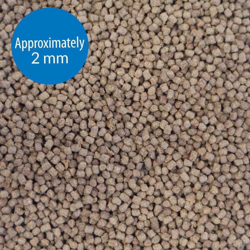 API Cichlid Pellets Medium 70g
