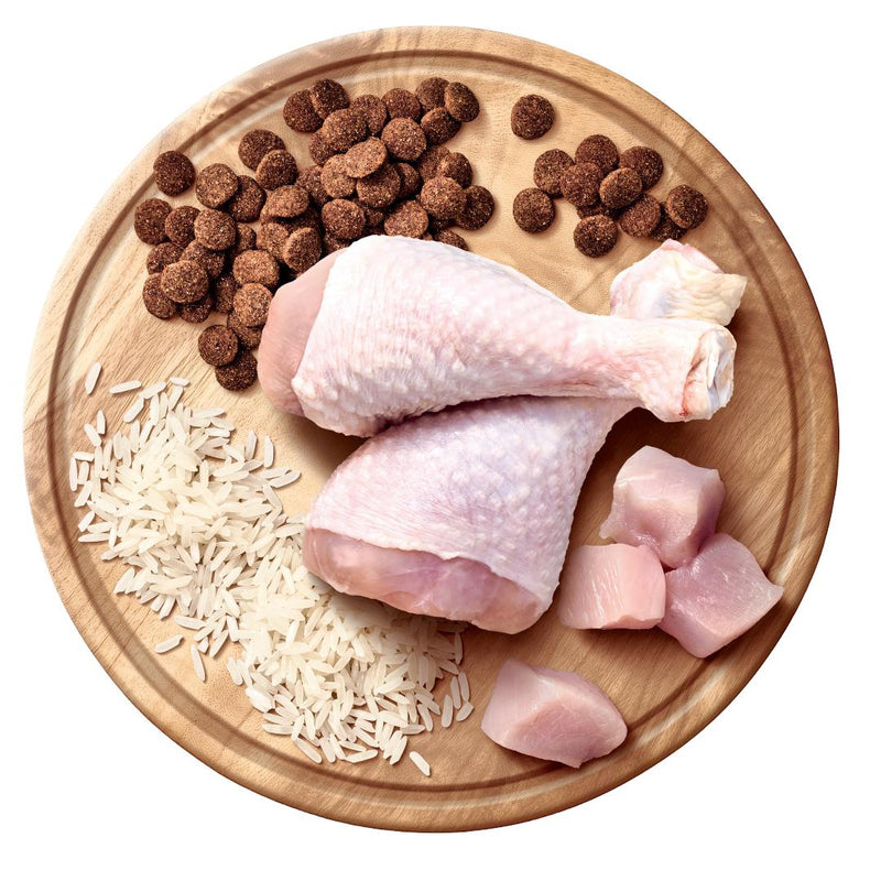 Advance All Breed Chicken and Rice Adult Dog Dry Food 20kg