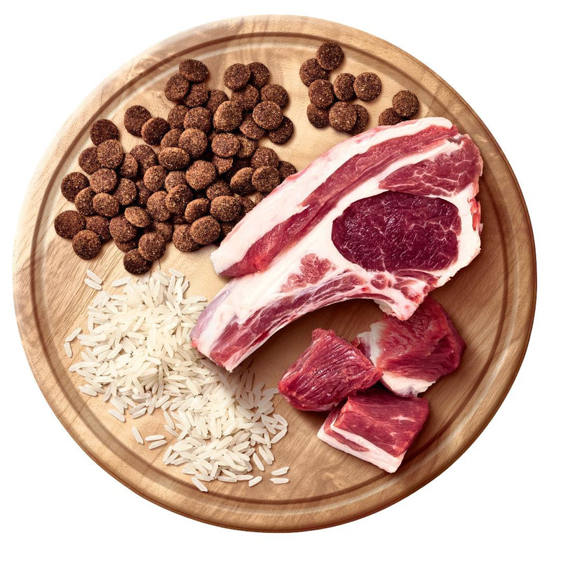 Advance All Breed Lamb and Rice Adult Dog Dry Food 20kg