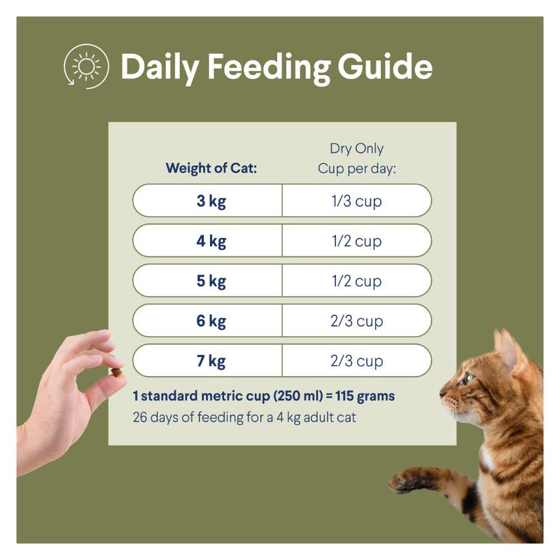 Advance Chicken Adult Cat Dry Food 500g