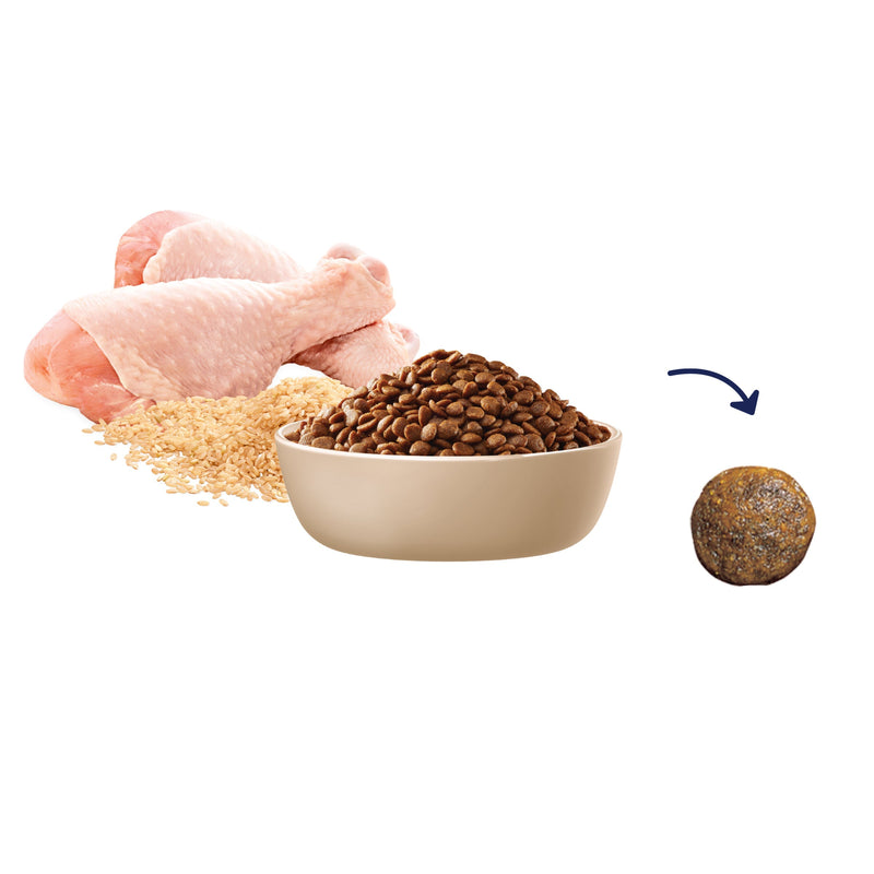 Advance Chicken and Rice Adult Cat Dry Food 500g (+_+)