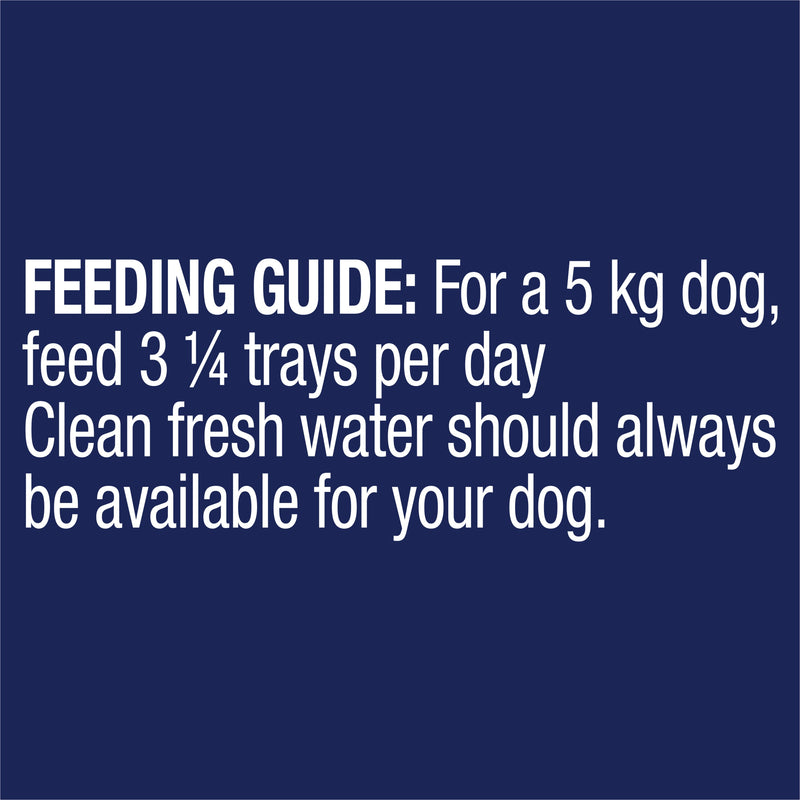 Advance Chicken and Rice Healthy Ageing All Breed Mature Dog Wet Food 100g x 12 (+_+)
