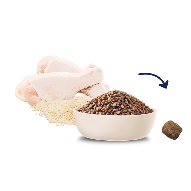 Advance Chicken and Rice Kitten Dry Food 3kg (+_+)