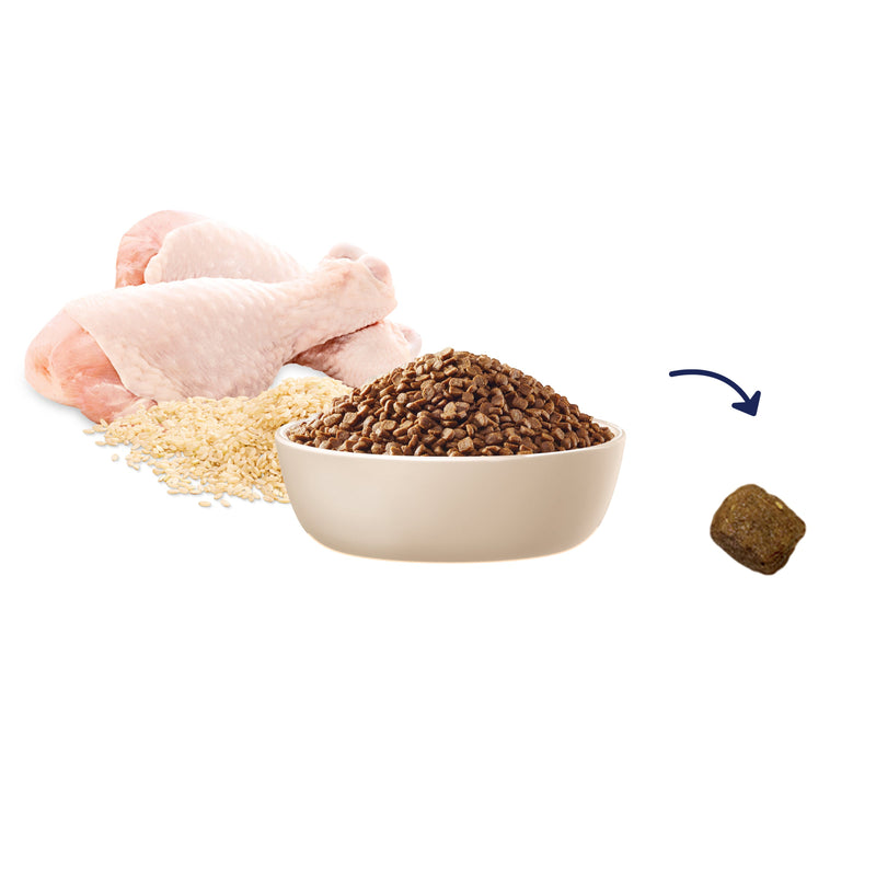 Advance Chicken and Rice Kitten Dry Food 500g