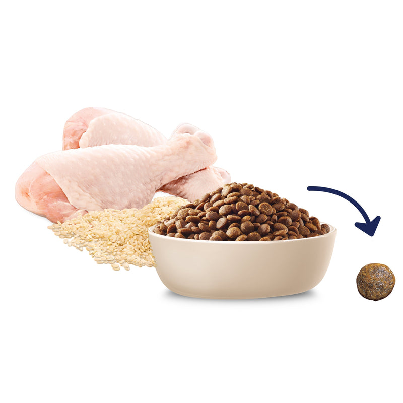 Advance Chicken and Rice Medium Breed Puppy Dry Food 3kg (+_+)