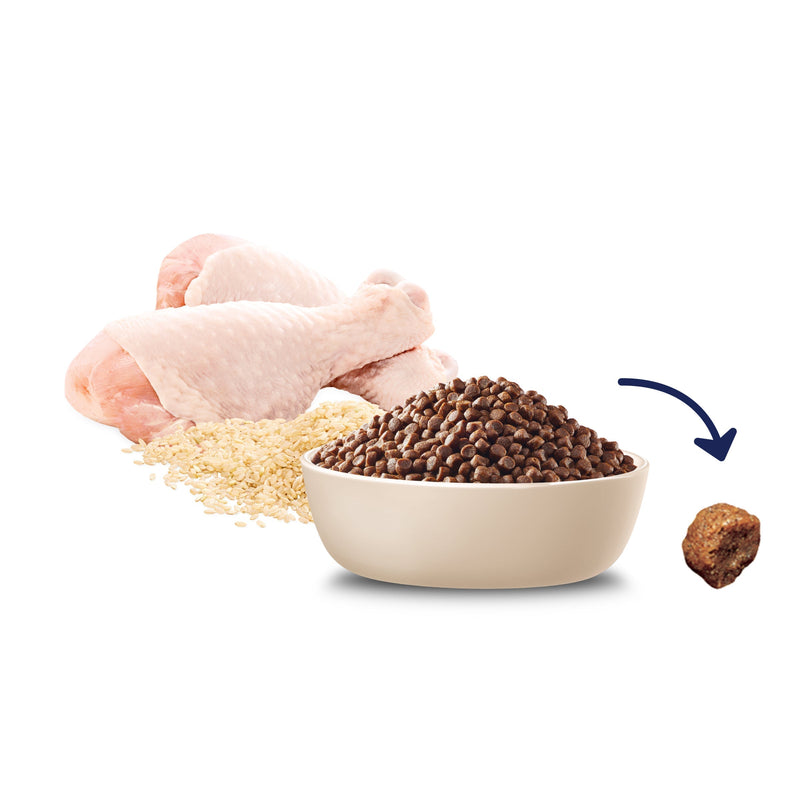 Advance Chicken and Rice Small Breed Puppy Rehydratable Dry Food 3kg (+_+)