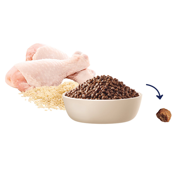 Advance Chicken and Rice Small Breed Puppy Rehydratable Dry Food 800G (+_+)