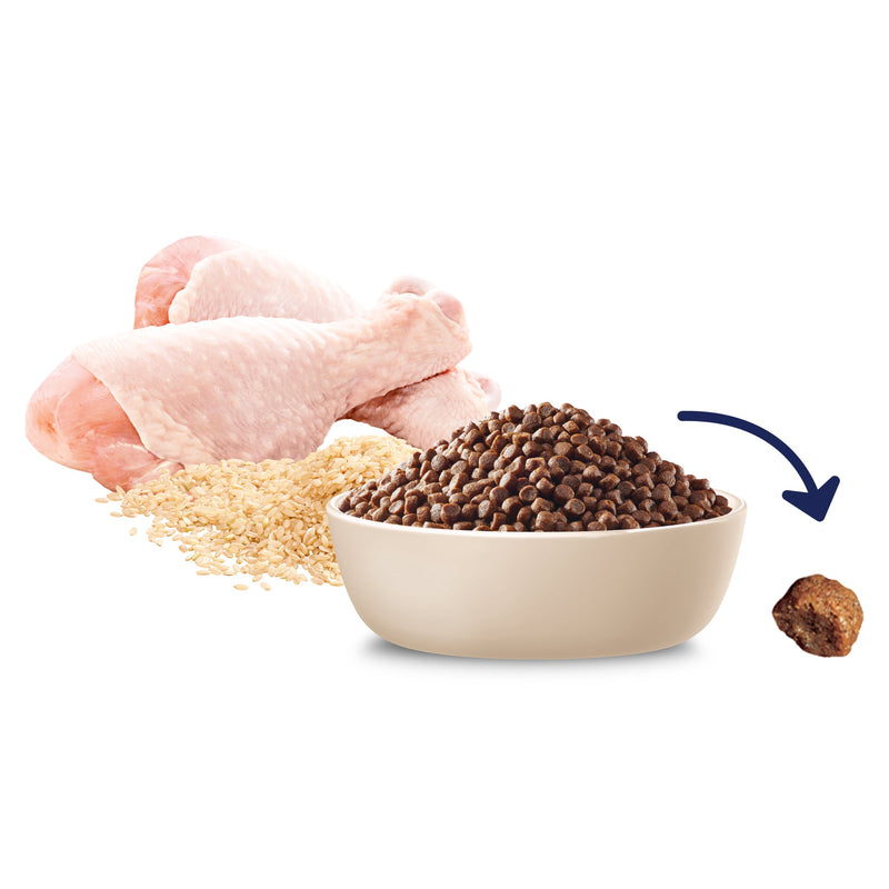 Advance Chicken and Rice Small Breed Puppy Rehydratable Dry Food 8kg (+_+)