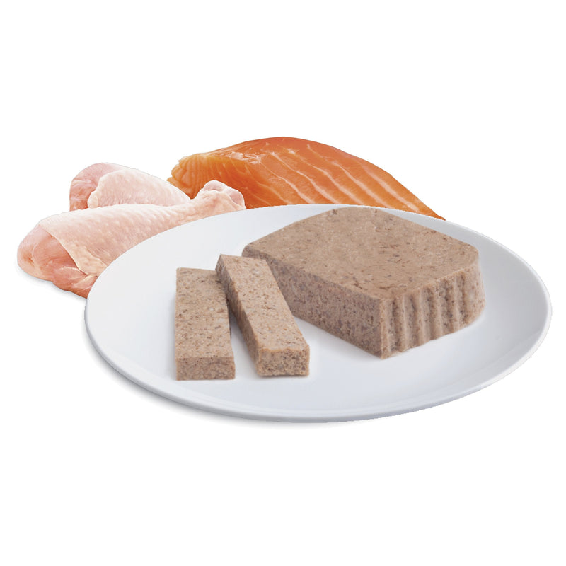 Advance Chicken and Salmon Medley Kitten Wet Food 85g x 7 (+_+)